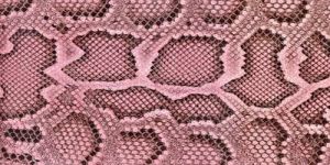 Pink Snake Texture Leather