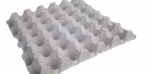 Pulp Molded Egg Tray