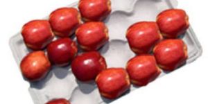 Pulp Moulded Apple Tray