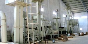 Grain Grading Service