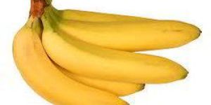 Fresh Cavendish Banana