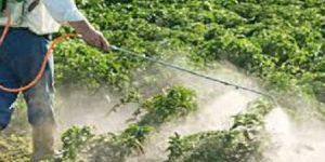 Plant Growth Promoters