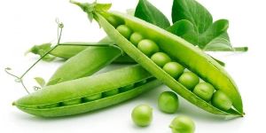 Fresh Peas