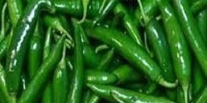 Fresh Green Chilli