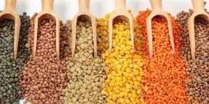 Indian Pulses