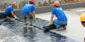 Bituminous Waterproofing Membrane Service