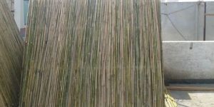 Bamboo Fencing