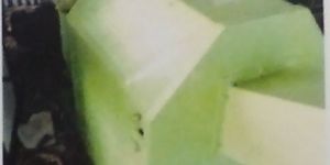 Bounded Foaming Machine