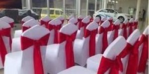 Ribbon Chair Cover