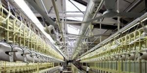 Industrial Plant Shed