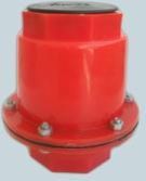 Non Return Valve
