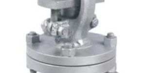 SS Socket Weld Globe Valve