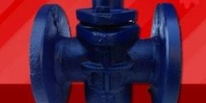 Two Way Gland Cock Flanged Valve