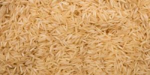 Brown Rice
