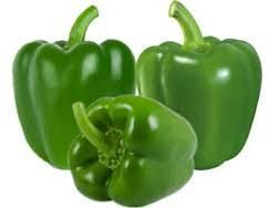Fresh Capsicum