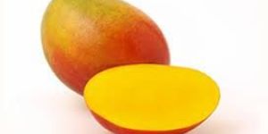 Fresh Mango