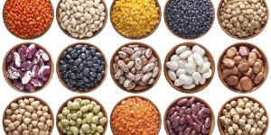 Indain Pulses