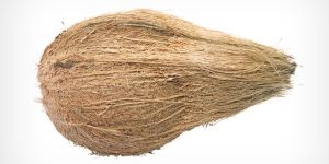 Semi Husked Coconuts