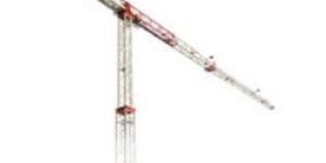 Self Erecting Tower Cranes