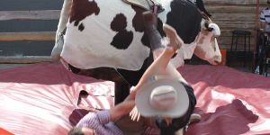 Mechanical Bull Ride