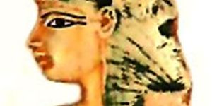 Magnetic Therapy Services