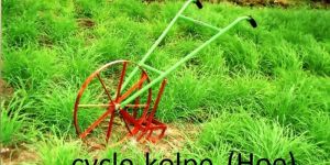 Agricultural Wheel Hoe