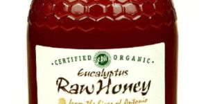 Eucalyptus Honey
