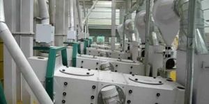 Pulse Processing Plant