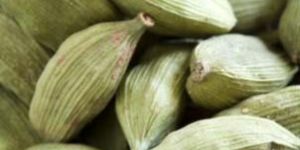 Cardamoms
