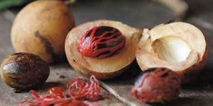 Nutmeg, Mace