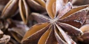 Star Anise