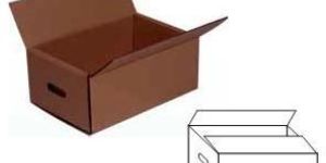 Folding Carton