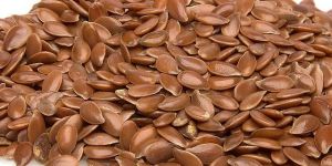Flax Seeds