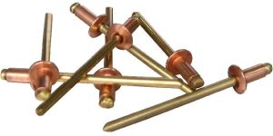 Phosphor Bronze Wire for Rivets