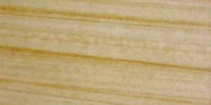 Teak Wood Sandstone