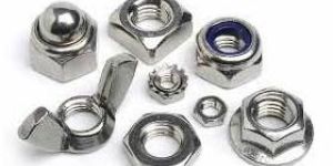 Stainless Steel Nuts