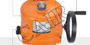 Rotary Electrical Actuator