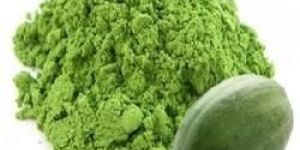 Papaya Leaf Powder