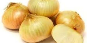 Fresh Yellow Onion