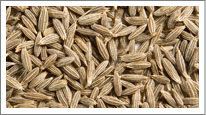 Cumin Seeds