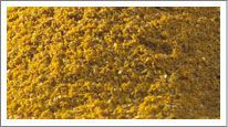 Mustard Powder