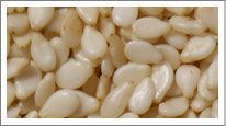 Sesame Seeds