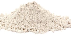 Diatomaceous Earth Powder