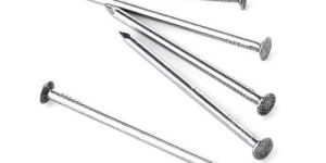 Polished Common Nails