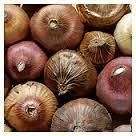 Gladiolus Bulbs (American Beauty)