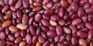 Red Kidney Beans