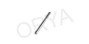 PFN Nail Screw