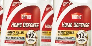 in Mould Label for Pharmaceuticals