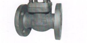 Flanged End Check Valve