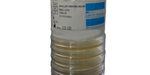 Mueller Hinton Agar Plate